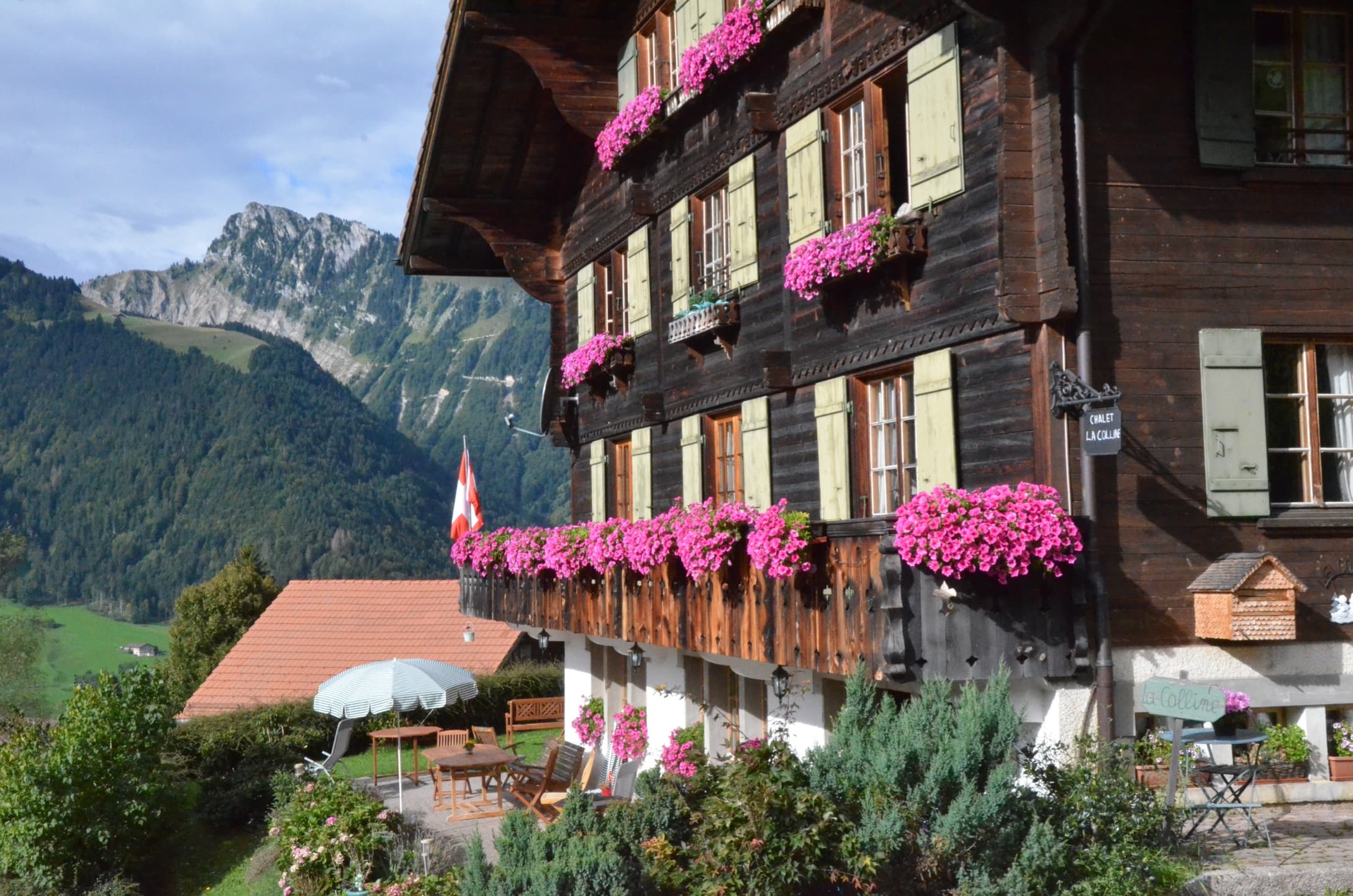 Façade en bois du Chalet La Colline ornée de géraniums roses, avec les Préalpes Vaudoises en arrière-plan